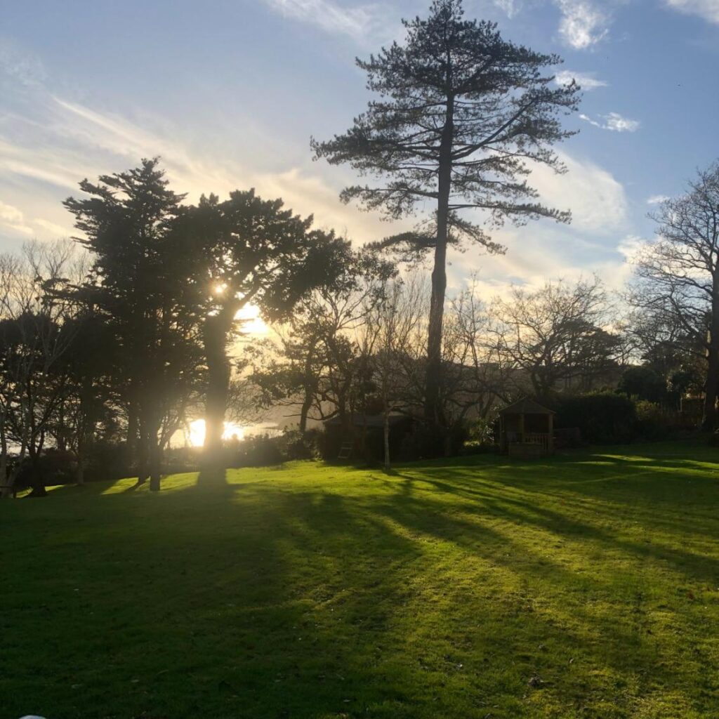 Care home garden view
